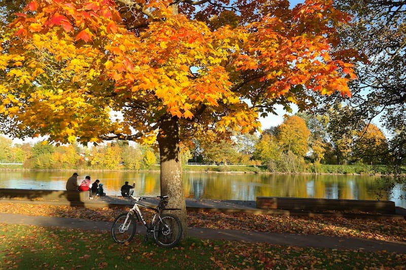 Bike path along the Danube River in Austria.