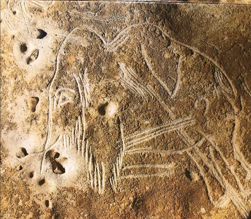 Grotte de Rouffignac cave art etching