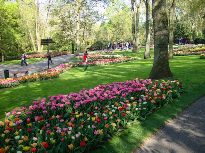 Winding paths at Keukenhof Gardens