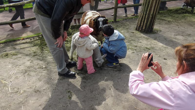 Kids petting a goat at the Petting Zoo at Keukenhof Gardens