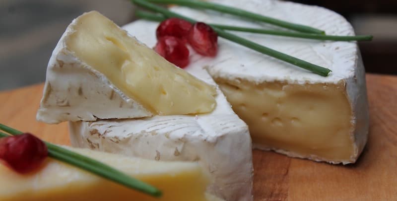 Wheel of camembert french cheese